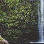 Fourth Wing book 3 prediction breakdown — Onyx Storm to the next